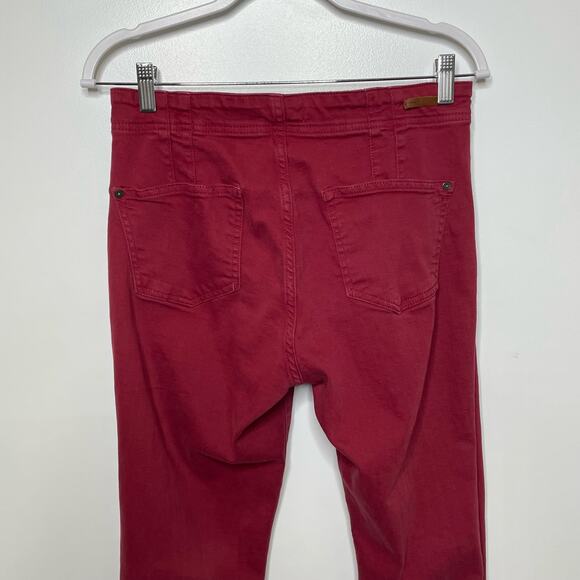 Pilcro and the Letterpress Anthropologie High Rise Skinny Button Fly Pants 29 - Picture 4 of 11